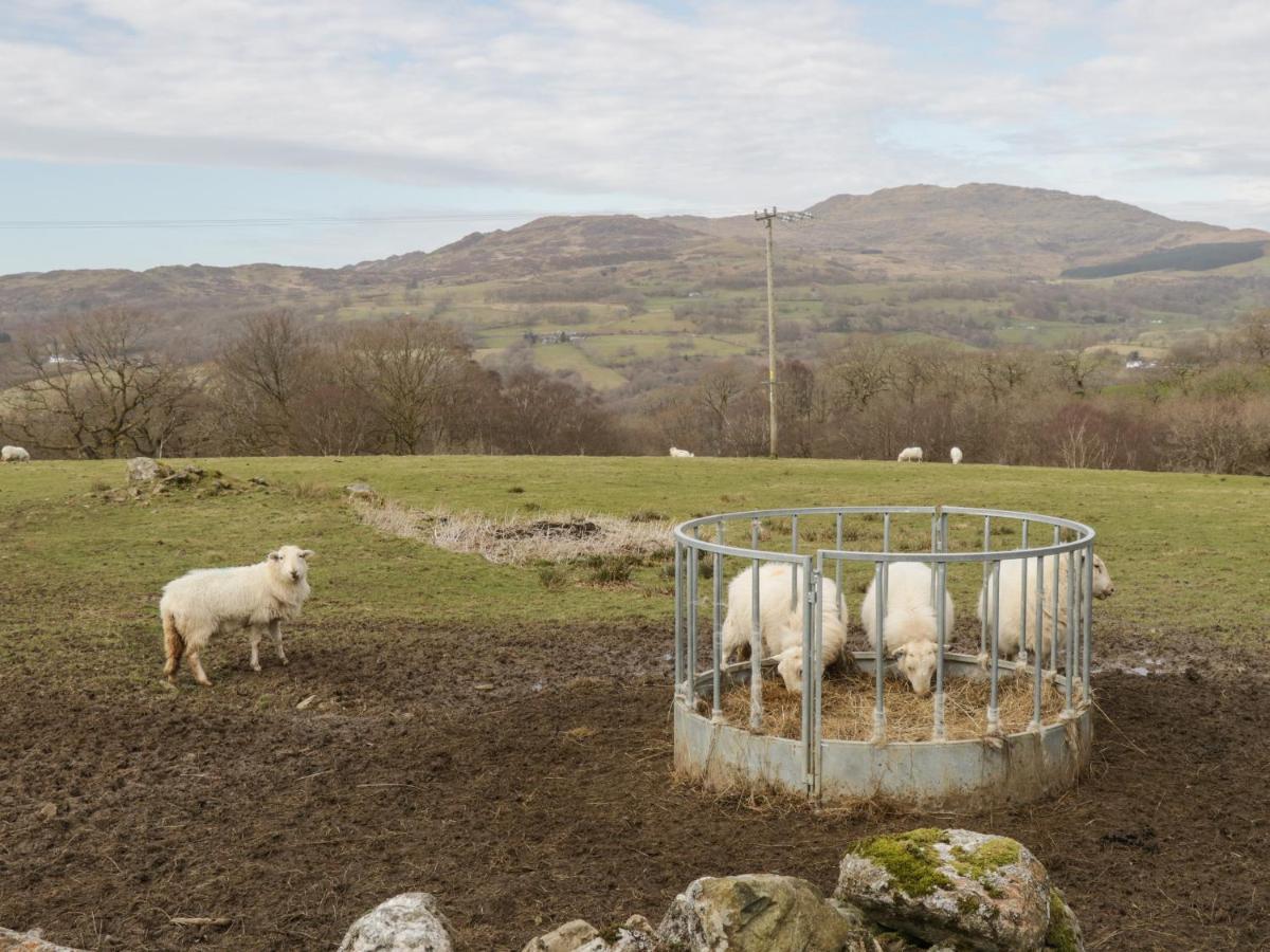 Brithgwm Canol Dolgellau Exteriér fotografie