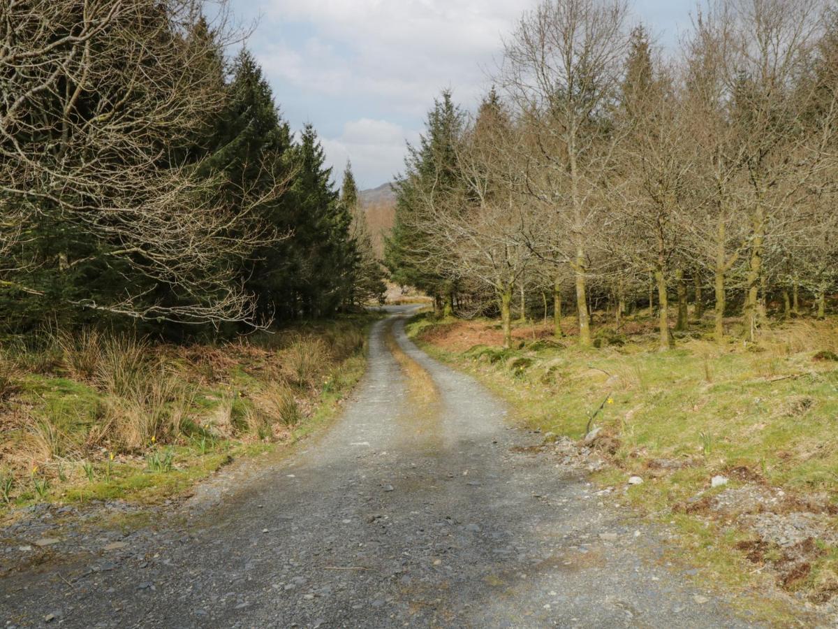 Brithgwm Canol Dolgellau Exteriér fotografie
